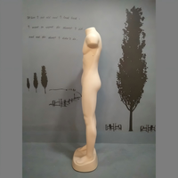 Maniquí Masculino de Cuerpo Completo de PE para Exhibición de Culturismo y Músculo, Modelo de Exhibición para Tiendas de Ropa, Maniquí Masculino