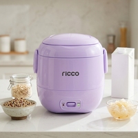 Cuisinière à riz électrique portable mini JRC-30 120W 0.3L avec cuve antiadhésive, boîtier en plastique, tasse doseuse - Certifiée GS CE ROHS LFGB