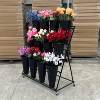 Présentoir à plantes multi-niveaux moderne avec roulettes, chariot de jardin, étagère à fleurs, 12 seaux en fer pour fleurs fraîches