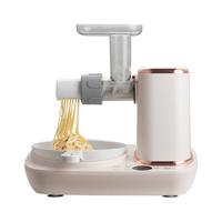 Machine à pâtes multifonctionnelle 300W pour pétrir la pâte et presser les nouilles avec un bol en acier inoxydable de 5L pour la cuisine à domicile