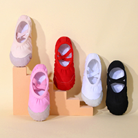 Zapatillas de Ballet para Niñas y Mujeres, Suela Suave, Multicolores, Banda Elástica Cruzada, Calzado de Baile, Calzado de Entrenamiento