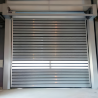 Vente en gros de portes à enroulement électriques en acier inoxydable de la meilleure marque, design victorien, isolation acoustique, garantie 1 an