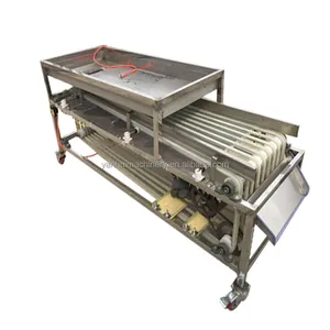 Industry Fruit Vegetable Sorter Sorting Orange Mango Apple Avocado Fresh Lemon Citrus Potato Grading Machine