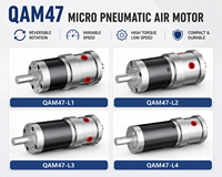 Moteur pneumatique à micro-vanne QAM47, couple élevé, faible vitesse, réversible, vitesse variable, antidéflagrant pour l'automatisation industrielle