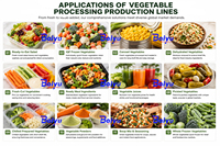 Automatische fruit- en groenteverwerkingslijn, mixer, friteuse, vriesbloemenwasser, blancherings- en IQF-vriesysteem, voedselveilige roestvrijstalen uitvoering