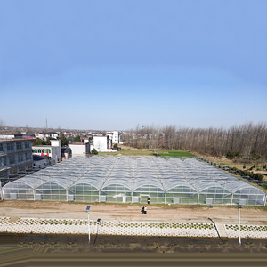 बड़ी बहु-अवधि हाइड्रोपोनिक सुरंग ग्रीनहाउस गर्म गैल्वेनाइज्ड कृषि पे पतली फिल्म ग्रीनहाउस - Product Image 5