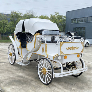 Carruaje de caballos de estilo vintage para recorridos por ciudades antiguas, fotografía de bodas y proyectos de turismo cultural característico. - Product Image 4