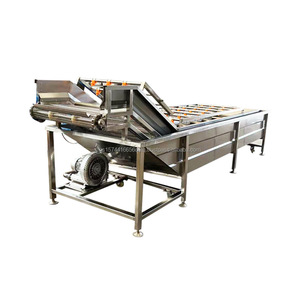 Ligne de processus d'emballage de lavage de fruits et légumes Machine de nettoyage de fruits et légumes - Product Image 1