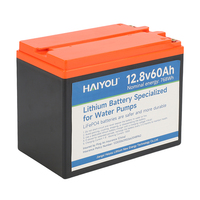 Batterie de stockage d'énergie rechargeable LiFePO4 prismatique au lithium-ion 12V 60Ah OEM d'usine 12.8V solaire HAIYOU 2000 cycles électrique