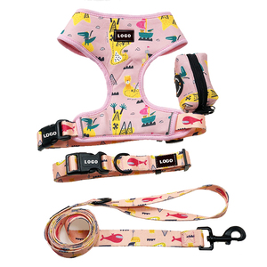 Progettazione personalizzata di trasporto heavy duty di lusso riflettente non tirare morbido cablaggio dell'animale domestico della maglia del gatto pet dog harness guinzaglio del cane harness set - Product Image 1