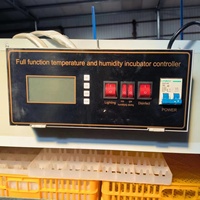 Incubateur d'Œufs / Grande Vente Incubateur d'Œufs de Poulet / Machine d'Incubation d'Œufs à Prix Abordable 10000 Pièces 9856 Œufs