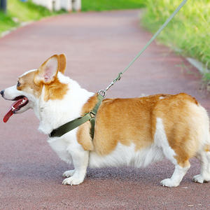 Conjunto de arnés y correa para perros y gatos de diseñador de lujo, nailon personalizado con función acolchada para caminar al aire libre - Product Image 6