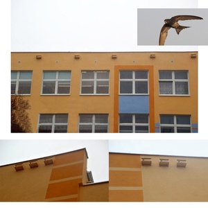 SWIFT NICHE XJY-SNB20211101 par Vogelhaus Coupe-Vent Quadrate <span class=keywords><strong>Nid</strong></span> d'<span class=keywords><strong>oiseau</strong></span> Matériel en bois de pin massif - Product Image 3