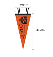 Fanions et drapeaux personnalisés pour équipes sportives universitaires, drapeaux décoratifs sur mesure, décoration d'esprit scolaire