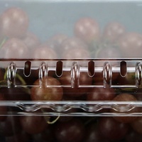Haute qualité en plastique recyclable d'emballage de raisin punnet fruits boîte pliante frais emballage palette