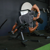 Chaise romaine réglable Tellus, hyperextension, équipement de fitness, cadre en acier inoxydable pour la musculation, multi-usages