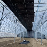 Serre tunnel agricole à portée unique grande taille pour culture de légumes, à faible coût, avec couverture en plaques PC, marque YanPeng - Offre Spéciale