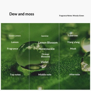 Diffusore di Aromi Senza Fiamma Baimi Shangri-La 120ml, Olio Essenziale per Aromaterapia, Decorazione per Bagno e Interni, Durata 90 Giorni - Product Image 6