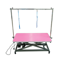 Table de toilettage électrique pour animaux 2026 en promotion : pratique avec fonctions de nettoyage et d'élimination des poils pour le toilettage canin