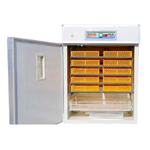1232 sıcak satış yumurta Hatchtery makinesi otomatik amerika papağanı papağan yumurta kuluçka
