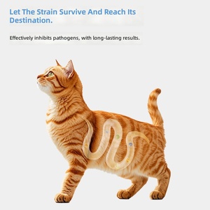 Sachet de poudre de probiotiques sans sucre <span class=keywords><strong>pour</strong></span> animaux de compagnie, 50 milliards d'UFC, <span class=keywords><strong>pour</strong></span> chiens et chats - Soulagement intestinal, action ciblée 24h/24 - Complément alimentaire privé - Product Image 5