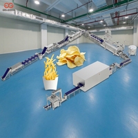 Línea de Producción de Papas Fritas Congeladas de Alta Capacidad 1000kg/h, Equipo Automático de Procesamiento de Papas Pre-fritas