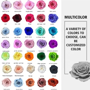 Regalo In cupola di vetro con luci a LED Rose eterne rosse per sempre Rose regalo romantico per le donne Rose stabilizzate per la <span class=keywords><strong>festa</strong></span> <span class=keywords><strong>della</strong></span> <span class=keywords><strong>mamma</strong></span> - Product Image 5