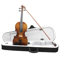Beginner's 4/4 Violin Complete Set Varnished Finish Brazil Wood Bow ABS Accessories Violin Case Student Practice Linden Wood