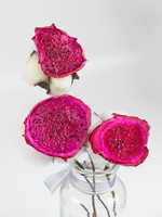 Venta al por mayor de alta calidad dulce Pitaya Slice Red Air Dried Dragon Fruit Tea Drinks