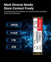 Great Wall GW1000 M.2 2280 SATA III SSD (NGFF) 128GB-2TB 3D NAND TLC Internal Solid State Drive untuk Desktop hingga 540MB/s Kecepatan Baca