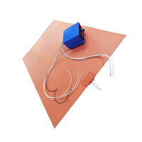 Bande chauffante en silicone et acier inoxydable Alixd, 380V, tension personnalisée, utilisation multi-industrielle, facile à utiliser, garantie 1 an, vidéo