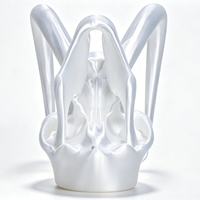 Collection de Crânes Fossiles Imprimés en 3D pour Cadeaux Artisanaux – Mamouth Laineux Qualité Muséale pour l'Éducation et l'Exposition, Échelle Personnalisée Disponible