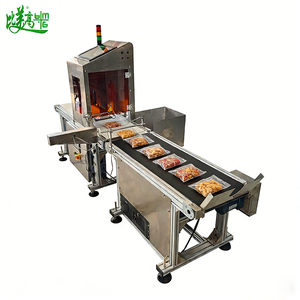 Sistema de Marcado y Verificación Láser de <span class=keywords><strong>Alta</strong></span> Precisión para Fechas de Producción y Códigos de Lote en Envases Flexibles - Product Image 5