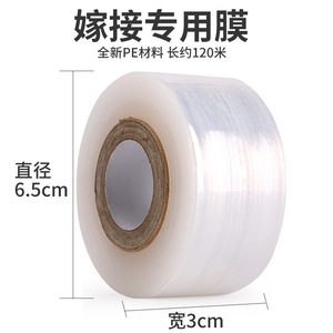 White Grafting Film 3 Cm Self Adhesive PE Plastic Film For Fruit Tree Branch Wrapping - Product Image 2