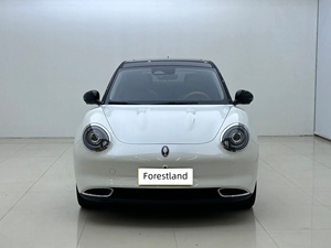 <span class=keywords><strong>Ora</strong></span> Good <span class=keywords><strong>Cat</strong></span> 2024 401km Édition Luxe Électrique Pliable Coffre Extensible Compact Rétro EV Carrosserie Flexible Facile à Stationner - Product Image 2