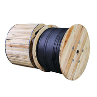 Fiber Power Composite Cable for Access Network PE Sheath Hybrid Fiber Cable