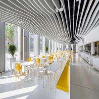 Plafonds décoratifs en aluminium à grain de bois, profilés linéaires en aluminium, bandelettes métalliques en aluminium
