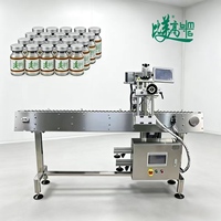 Machine de marquage laser UV stable avec système d'intégration d'inspection automatique pour l'impression laser sur bouteilles et bouchons en plastique
