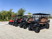 Voiturette de golf électrique tout-terrain 2 places au design luxueux, homologuée pour la route, batterie 60V, mini-voiturette de golf personnalisable