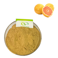 HALAL Fabrieksprijs 100% Zuivere Grapefruit Extract Poeder (Citrus Bioflavonoïden) GMP Gecertificeerd voor Voedingssupplementen
