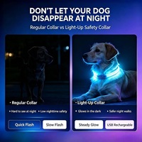 Collier pour chien en fibre optique LED rechargeable par USB, découpable, double extrémité lumineuse, sangle de sécurité nocturne pour animaux de compagnie, pour chiens de petite, moyenne et grande taille