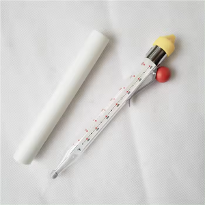 제조업체 공급 유리 튜브 온도계 사탕 온도계 주스 온도계 - Product Image 2