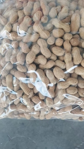 Đậu phộng rang mùa mới với vỏ trong <span class=keywords><strong>2025</strong></span>-nhiều hương vị | giòn | bao bì số lượng lớn và bán lẻ - Product Image 6