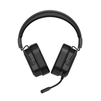 Headset Gaming Nirkabel Rapoo VH850 Kelas Atas 3 Mode BT5.3 /2.4G /3.5mm RGB Over Ear dengan Mikrofon Lepas Pasang untuk Gamer/Hadiah