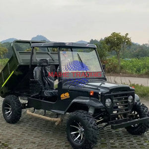 Véhicule tout-terrain 4x4 (ATV) et buggy 4 places homologué CE, 200cc, 300cc, 1000cc, 351-450HP, couleur personnalisable, pour adultes - Vente Flash - Product Image 2