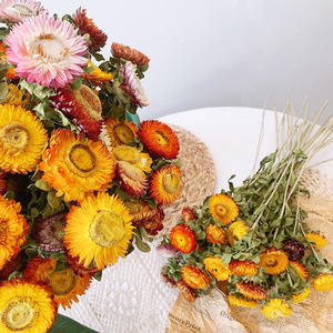 Pequeño Ramo de Flores Secas de Margarita, Decoración <span class=keywords><strong>para</strong></span> Sala de Estar, Girasol, Adornos Decorativos Sin Manchas, Estilo Ins, Secos - Product Image 1