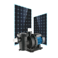 Pompe solaire de surface en acier inoxydable haute efficacité 33-1000L/H, étanche IP67, contrôle manuel/automatique, certifiée CE