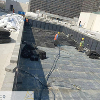 Planche de drainage en gazon artificiel noir de 30 mm d'épaisseur, tapis de drainage pour espaces extérieurs, aménagements paysagers, pour la maison, les parkings