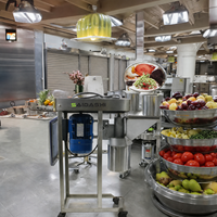 SAIDASHI Industriële Aardappel-Gember-Kruimelaar-Veegmachine voor het maken van ui-, gember- en knoflookpasta