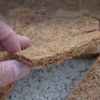 Fibres de noix de coco paillis anneau arbre protecteur tapis coco coco paillis naturel contrôle des mauvaises herbes tapis arbre planteur disque tapis de noix de coco